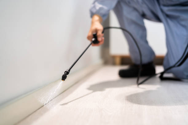 Bed Bug Pre-Treatment Preparation Assessment in Catalina