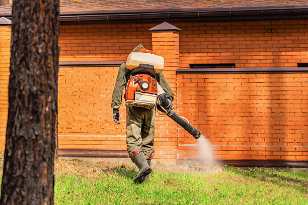 Bed Bug Clearance Verification and Documentation in Catalina